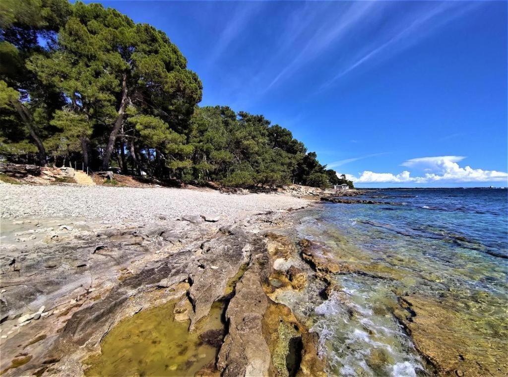 فندق San Valentino Bašanija المظهر الخارجي الصورة